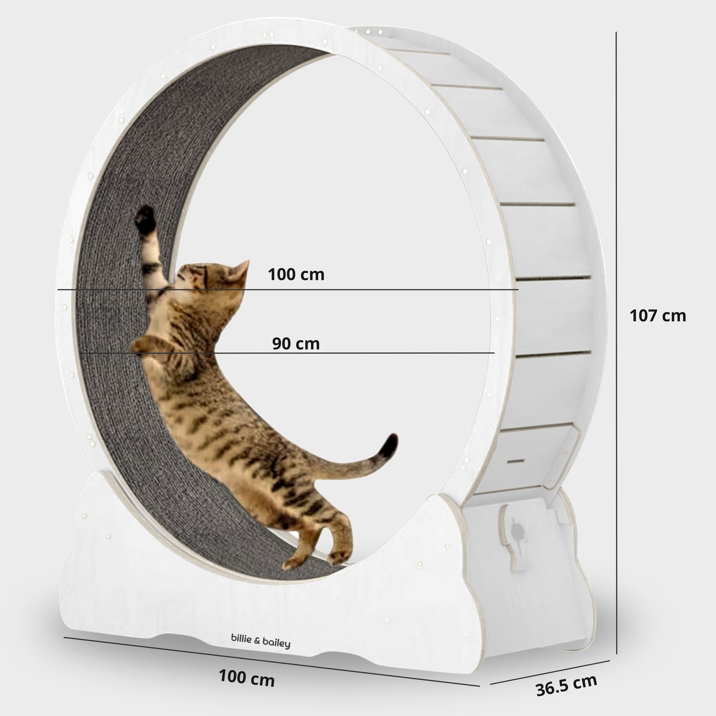 Cat Wheel - Running Wheel for Cats - White