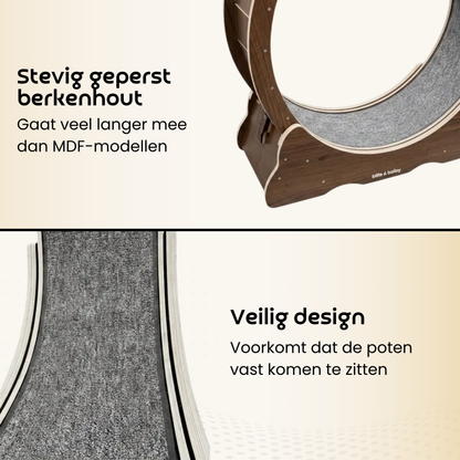 Cat Wheel - Running Wheel for Cats - Walnut