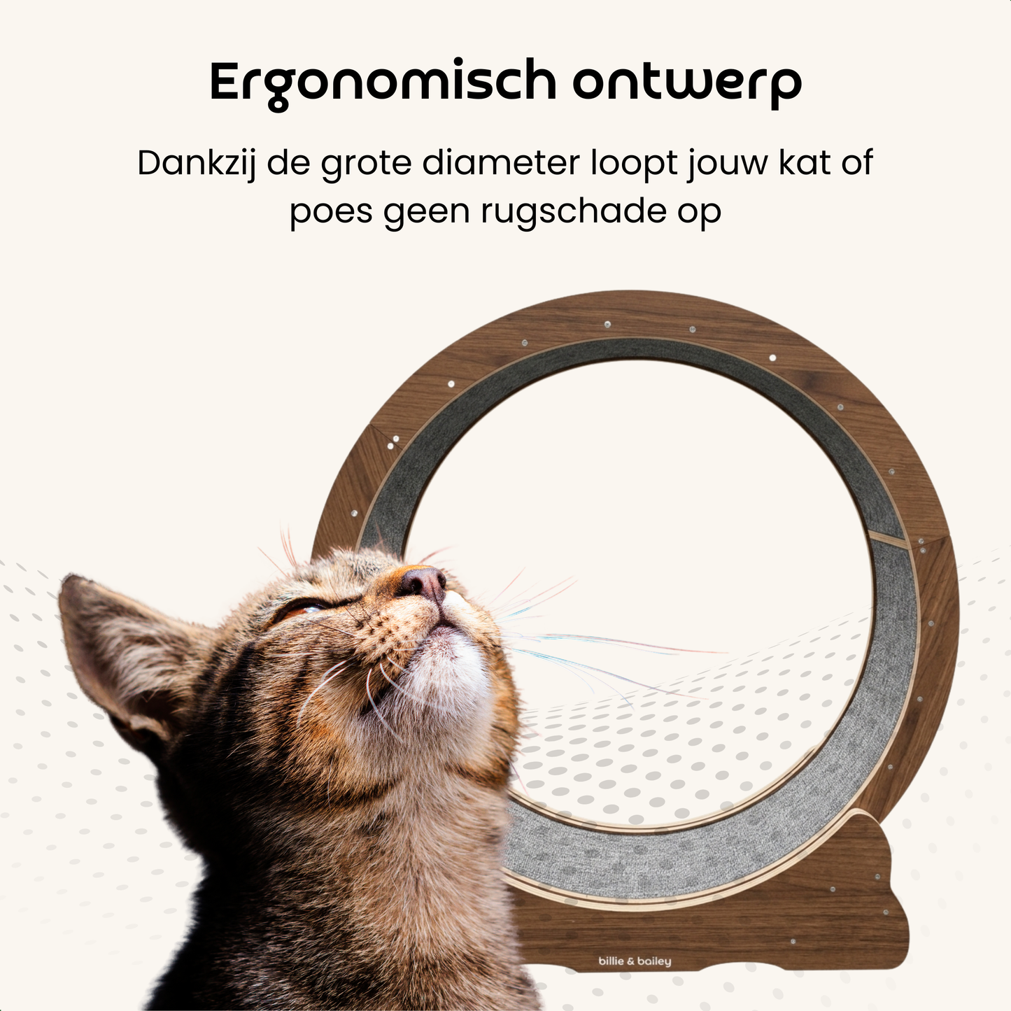 Cat Wheel - Running Wheel for Cats - Walnut