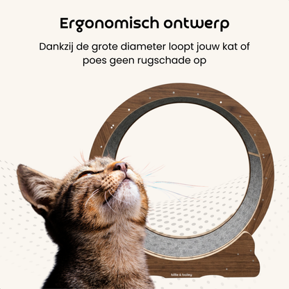 Cat Wheel - Running Wheel for Cats - Walnut