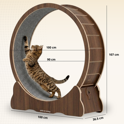Cat Wheel - Running Wheel for Cats - Walnut