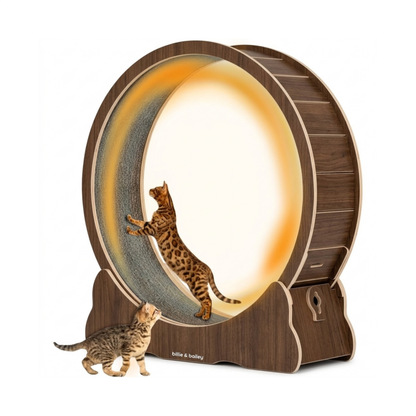 Cat Wheel - Running Wheel for Cats - Walnut